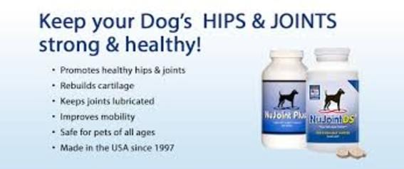 A picture of the nujoint supplement for dogs.