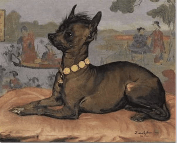 Painting of a Chinese Crested in 1882